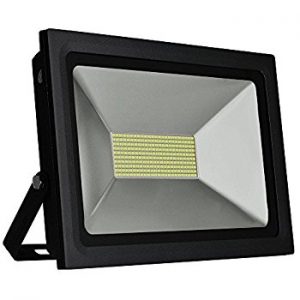 Flood Light